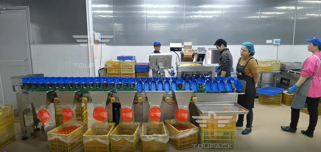 Clasificadora del peso circular multi del grado de la pantalla táctil para las frutas de los pescados de la yema de huevo