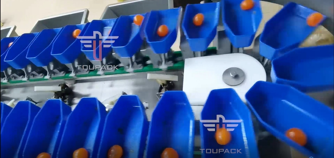 Clasificadora del peso circular multi del grado de la pantalla táctil para las frutas de los pescados de la yema de huevo
