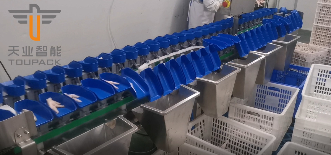 Clasificadora del peso circular multi del grado de la pantalla táctil para las frutas de los pescados de la yema de huevo