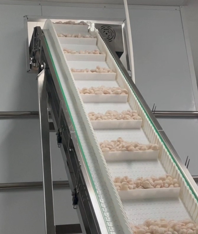 Peso 200g~1500g de la blanco del sistema del taller helado del camarón de la empaquetadora del pesador de los SS que embala 304