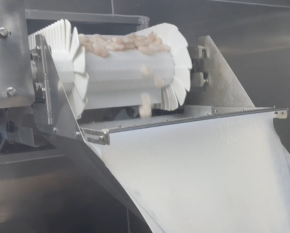 Peso 200g~1500g de la blanco del sistema del taller helado del camarón de la empaquetadora del pesador de los SS que embala 304