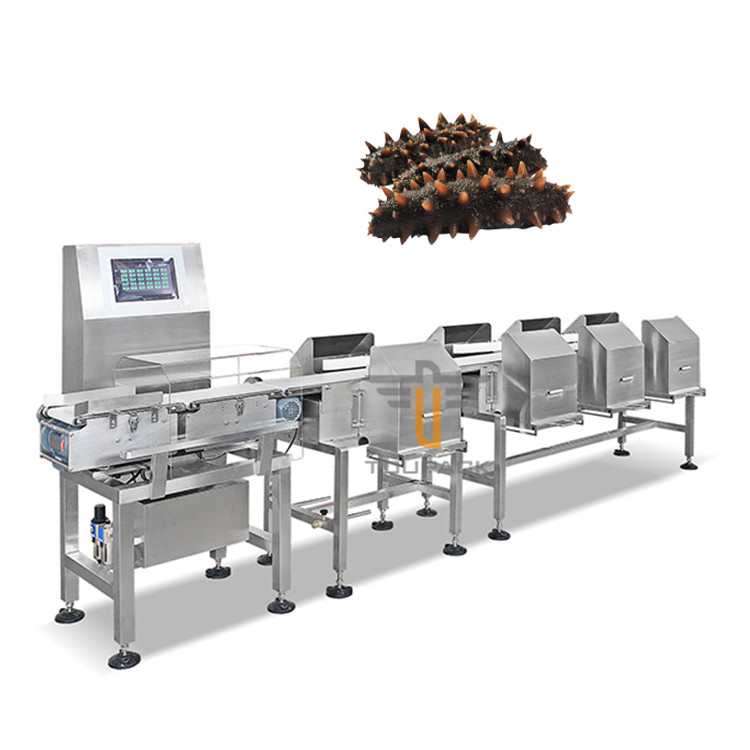 Máquina automática del clasificador del graduador de la banda transportadora de la clasificadora del peso de Trepang del camarón de los pescados