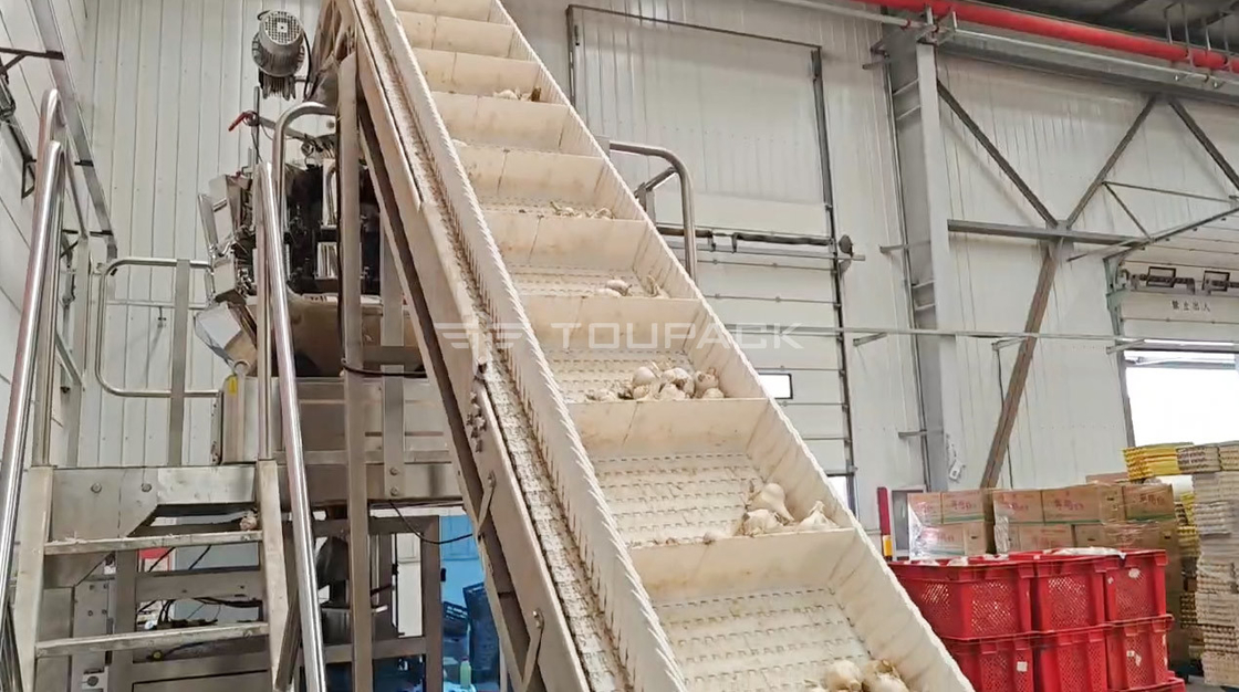 OEM máquina de pesaje automática bolsa de frijoles brotes cilantro papas ajo bebé zanahoria máquina de embalaje