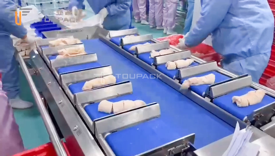 Tipo de cinturón automático Combinación de cabeza múltiple Pesadora de comprobar Pesadora para las patas de cerdo