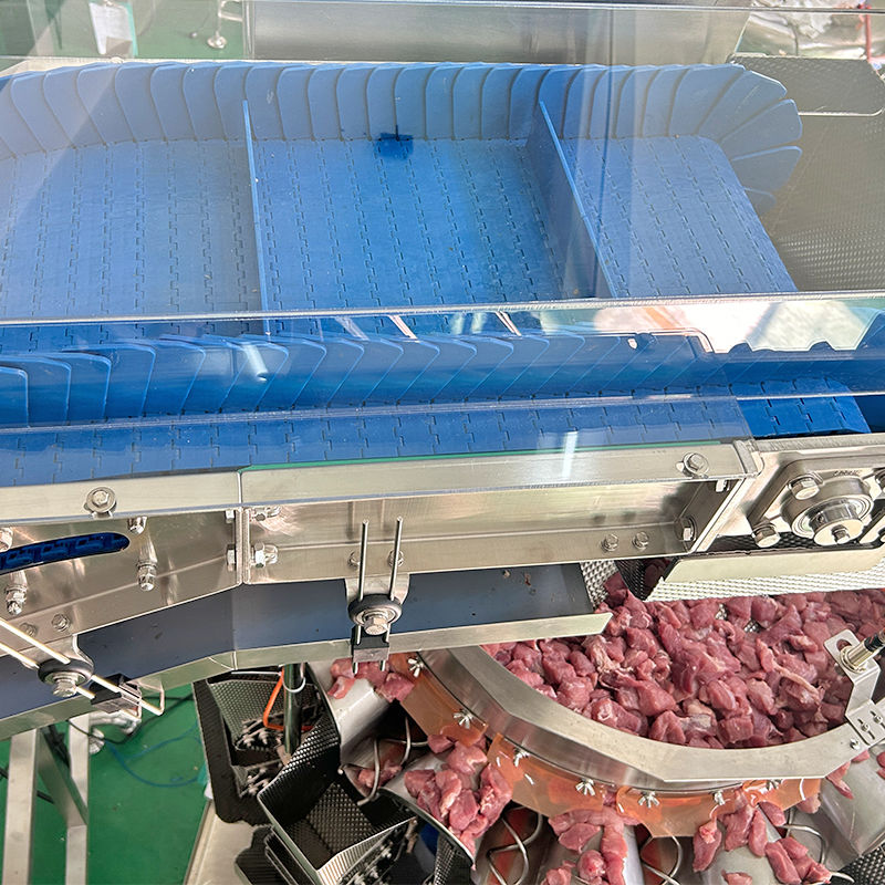 Elevadores elevadores verticales de alta capacidad para alimentos de tipo Z transportadores de cubos para azúcar/granos
