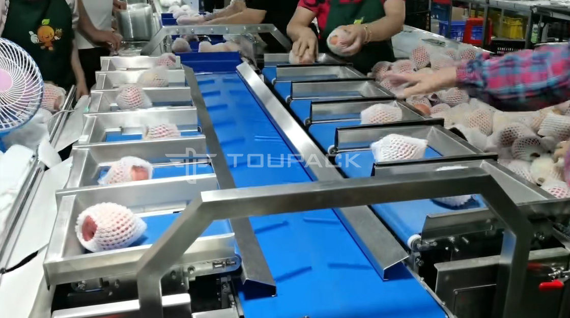 Máquina de embalaje de rodillos de almohada Perla Combinación de peso de manzana Escala de fruta Combinación de pesas Máquina de embalaje de alta precisión