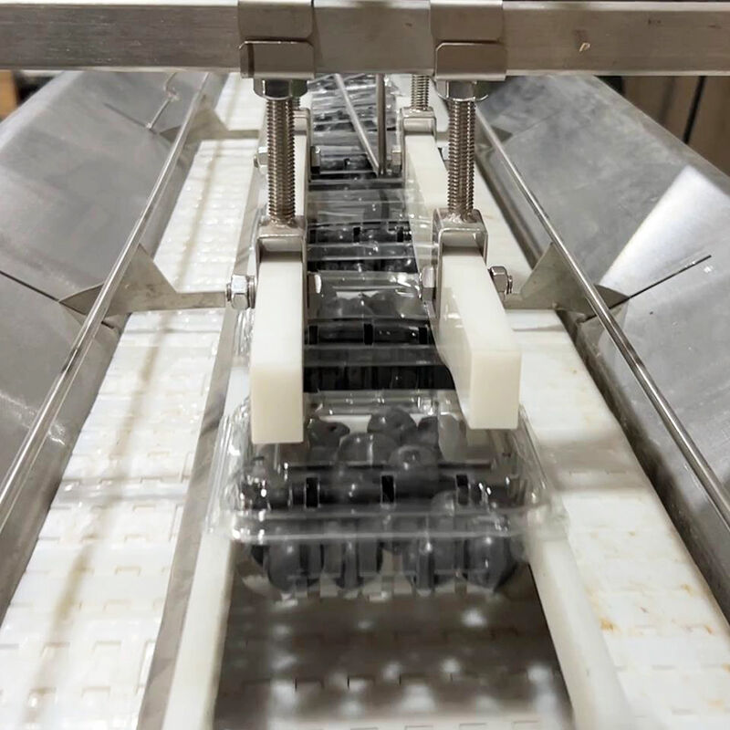 Máquina envasadora automática de verduras y ensaladas congeladas de arándanos, máquina envasadora y pesaje de verduras y tomates cherry