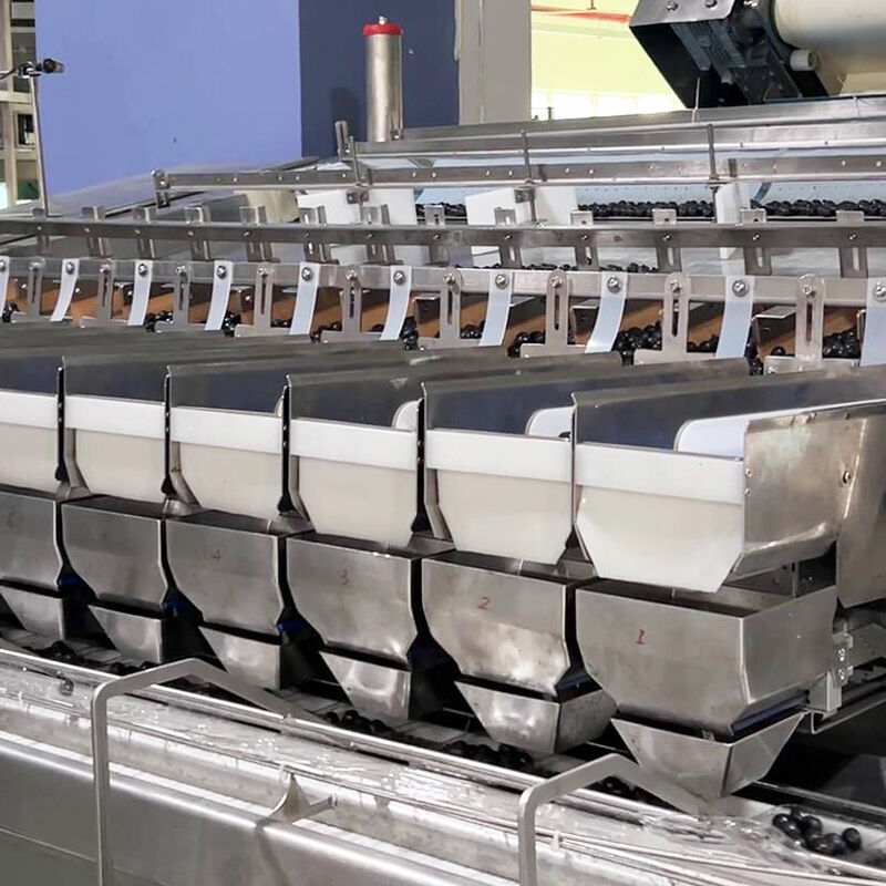 Máquina envasadora automática de verduras y ensaladas congeladas de arándanos, máquina envasadora y pesaje de verduras y tomates cherry