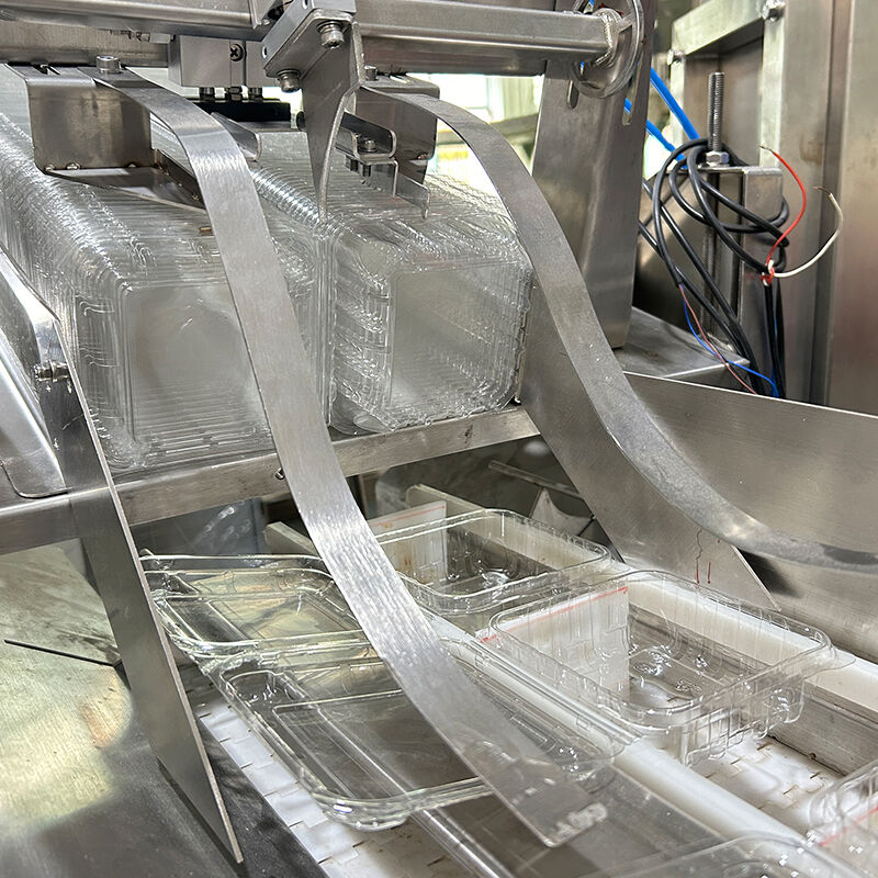 Máquina envasadora automática de verduras y ensaladas congeladas de arándanos, máquina envasadora y pesaje de verduras y tomates cherry