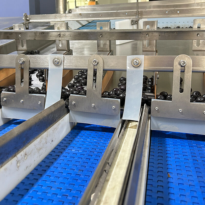 Máquina envasadora automática de verduras y ensaladas congeladas de arándanos, máquina envasadora y pesaje de verduras y tomates cherry