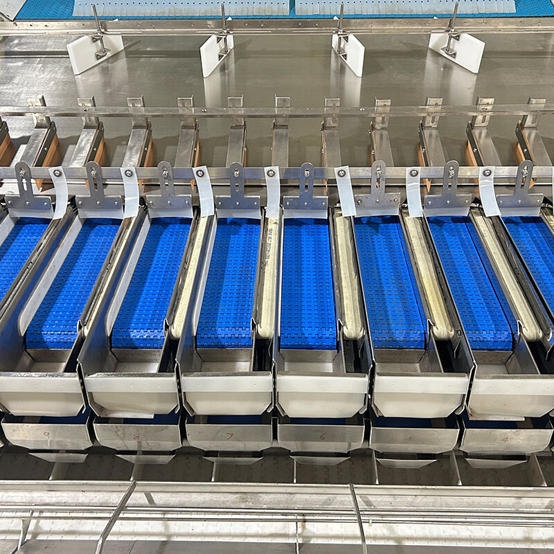 Máquina envasadora automática de verduras y ensaladas congeladas de arándanos, máquina envasadora y pesaje de verduras y tomates cherry