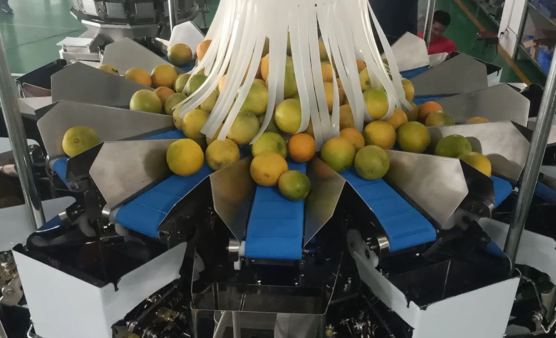 14 la empaquetadora principal del pesador de Multihead MCU/PLC para Weiging da fruto las naranjas