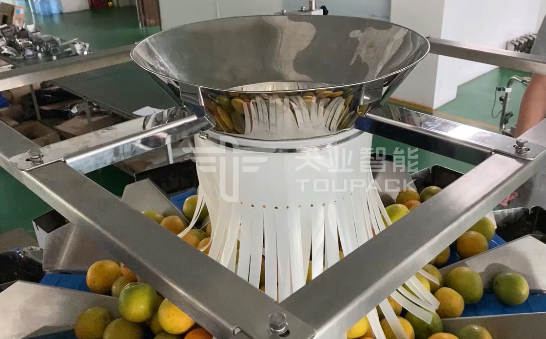 14 la empaquetadora principal del pesador de Multihead MCU/PLC para Weiging da fruto las naranjas