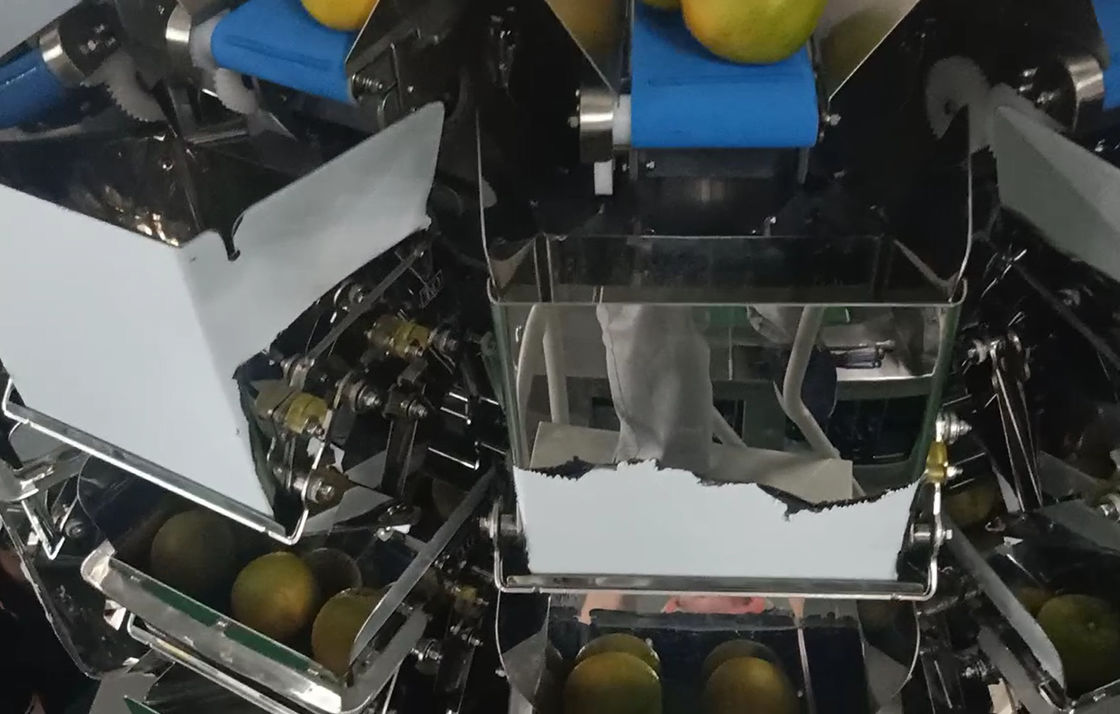 14 la empaquetadora principal del pesador de Multihead MCU/PLC para Weiging da fruto las naranjas