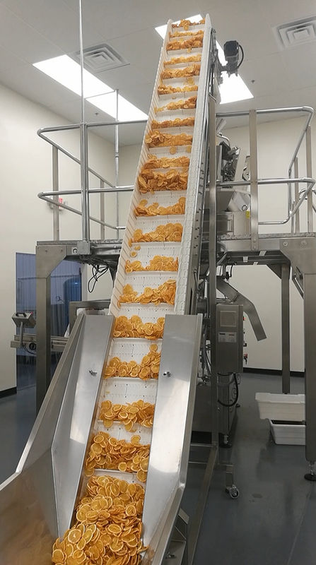 Pesador rotatorio de Multihead de la empaquetadora del PLC de 40 bolsos/del minuto para la bolsa preparada de antemano de Lemond de los frutos secos