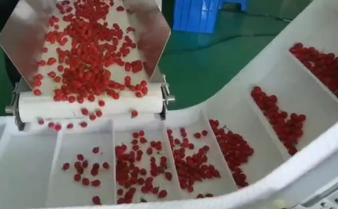 Pesaje del pesador de SUS304 Multihead y sistema de empaquetado autos para Cherry Frozen Fruits In Boxes