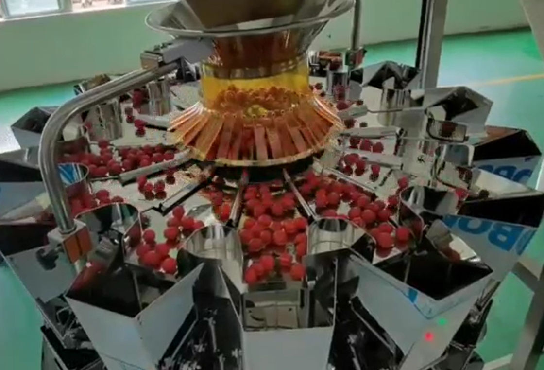 Pesaje del pesador de SUS304 Multihead y sistema de empaquetado autos para Cherry Frozen Fruits In Boxes