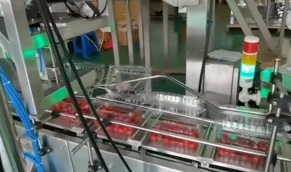 Pesaje del pesador de SUS304 Multihead y sistema de empaquetado autos para Cherry Frozen Fruits In Boxes