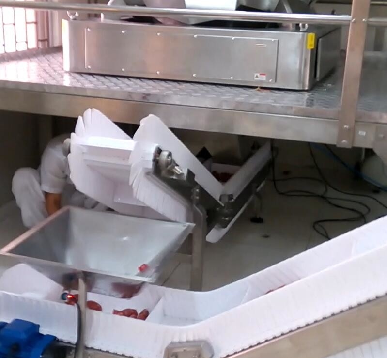 empaquetadora del pesador de Multihead de la tolva 5000g para el azúcar de BPM de la industria 60 de la fábrica de la comida
