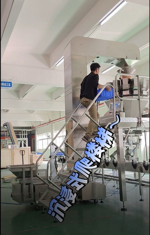 funcionamiento de acero inoxidable del transportador del cubo de la pendiente de Z con 10/14 pesador del multihead de las cabezas