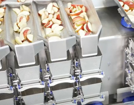 Pesador principal de la combinación 8 para los bolsos cocinados frescos/minuto del producto de carne 30