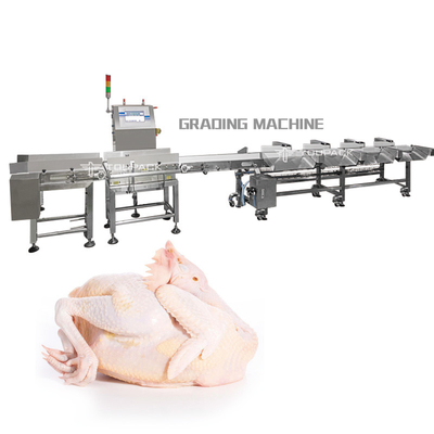 Niveladora del peso del PLC de la clasificadora de la carne entera automática del pollo