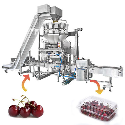 Fresa Tray Packing Machine de las cerezas de la espinaca de la col rizada de la empaquetadora de la legumbre de fruta fresca de la cubierta