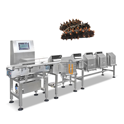 Máquina automática del clasificador del graduador de la banda transportadora de la clasificadora del peso de Trepang del camarón de los pescados