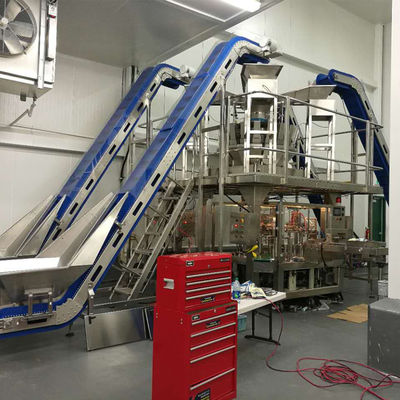 Empaquetadora del pesador del ISO 9001 1.5KW Multihead para el bolso de Doypack