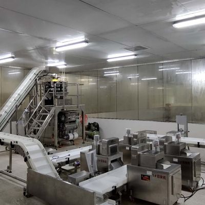 Banda transportadora ISO9001 que clasifica el sistema