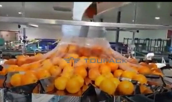 Empaquetadora de la fruta y verdura anaranjada automática con la red