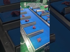 Máquina de embalaje de pesas multicabeza para carne