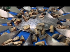 TOUPACK 14 cabeza Pesadora multicabeza para pesar peces