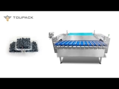 Máquina de embalaje de frutas y verduras VFF automática multicabeza pesadora caja de ensalada máquina de embalaje